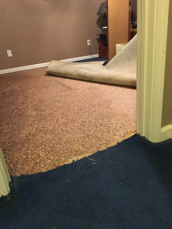 Carpet pad removal revealing water damage during Water Mitigation Services in Gainesville