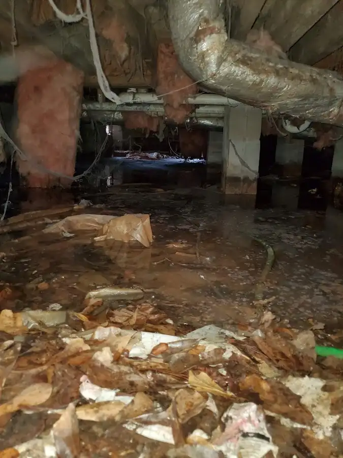 Crawl space flood assessment for Commercial Water Damage Restoration in Gainesville