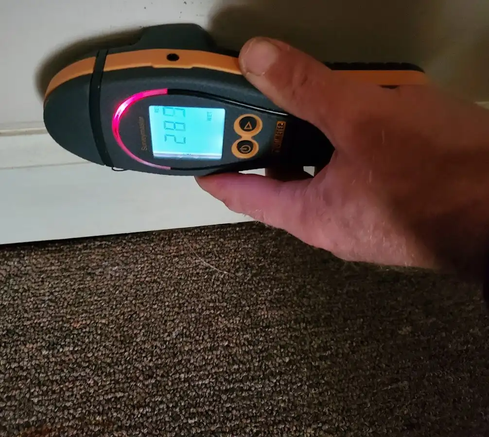 Moisture detection at baseboard during Sewage Cleanup & Sanitation in Gainesville